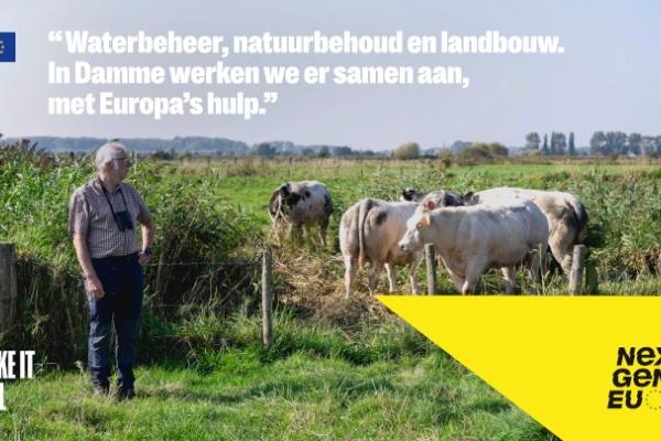 Damme nextgeneu